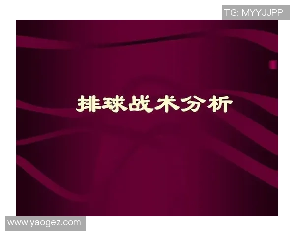 武汉排球队在冠军赛中的战术分析与表现评估